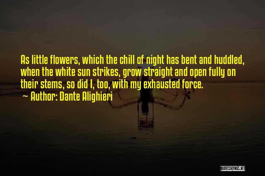 Night Chill Quotes By Dante Alighieri