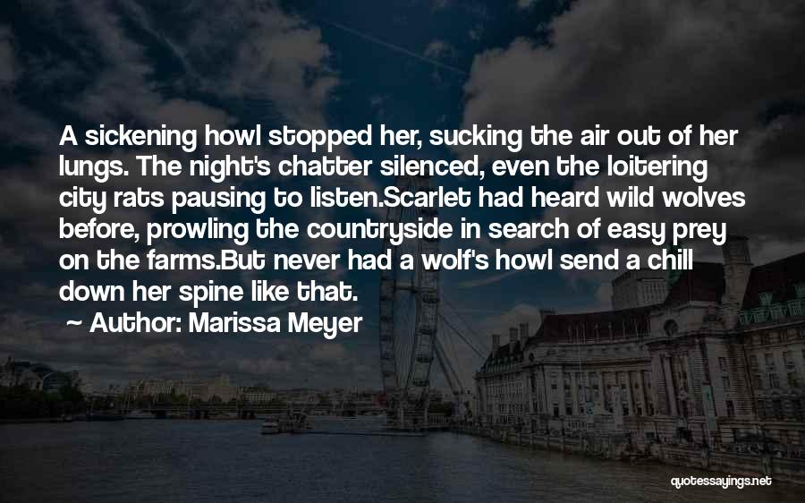 Night Chill Quotes By Marissa Meyer