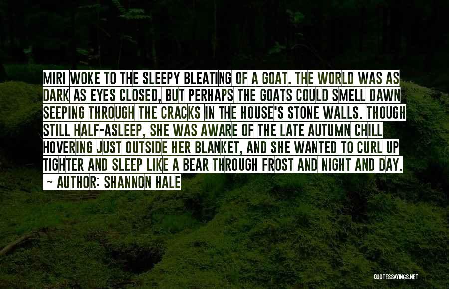 Night Chill Quotes By Shannon Hale