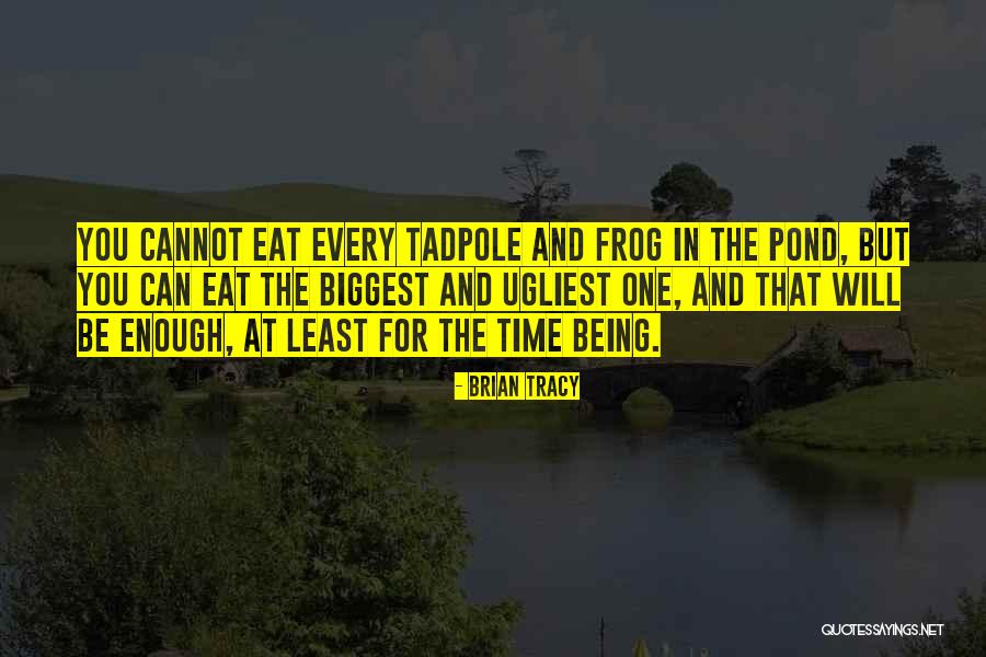 Night Circus Imagery Quotes By Brian Tracy Night Circus Imagery Quotes By Brian Tracy