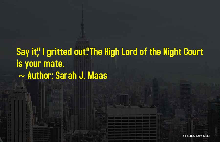 Night Court Quotes By Sarah J. Maas