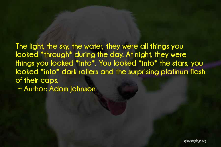 Night Dark Light Quotes By Adam Johnson