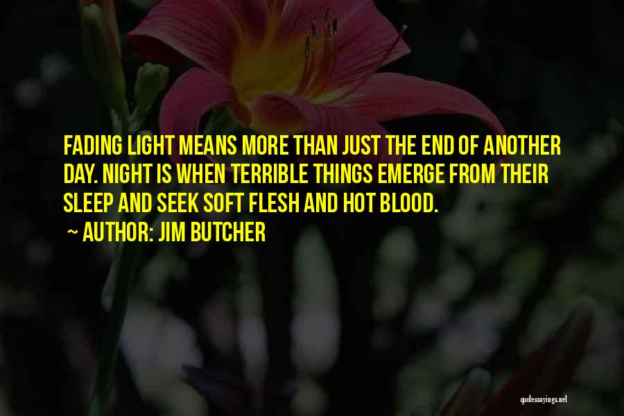 Night Dark Light Quotes By Jim Butcher
