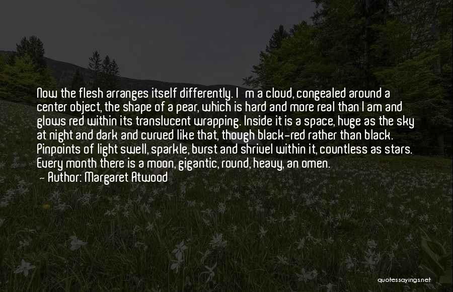 Night Dark Light Quotes By Margaret Atwood