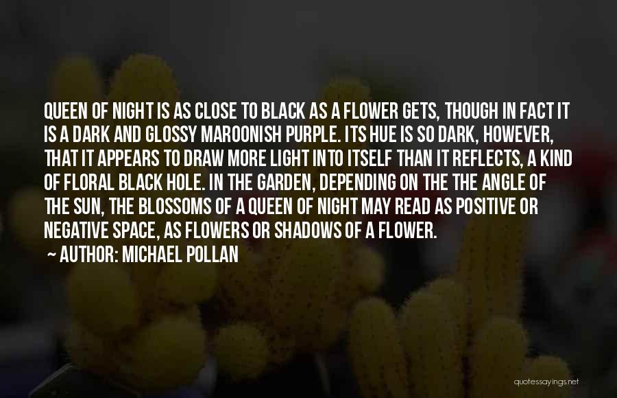 Night Dark Light Quotes By Michael Pollan