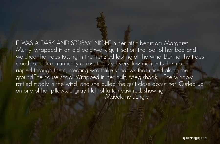 Night Dark Shadows Quotes By Madeleine L'Engle Night Dark Shadows Quotes By Madeleine L'Engle