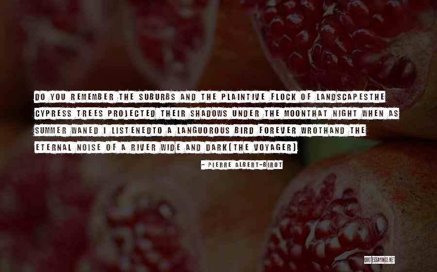 Night Dark Shadows Quotes By Pierre Albert-Birot Night Dark Shadows Quotes By Pierre Albert-Birot