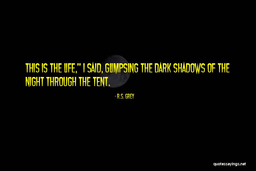 Night Dark Shadows Quotes By R.S. Grey Night Dark Shadows Quotes By R.S. Grey