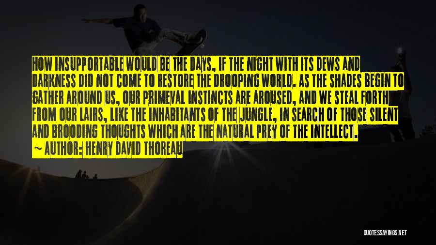 Night Darkness Quotes By Henry David Thoreau