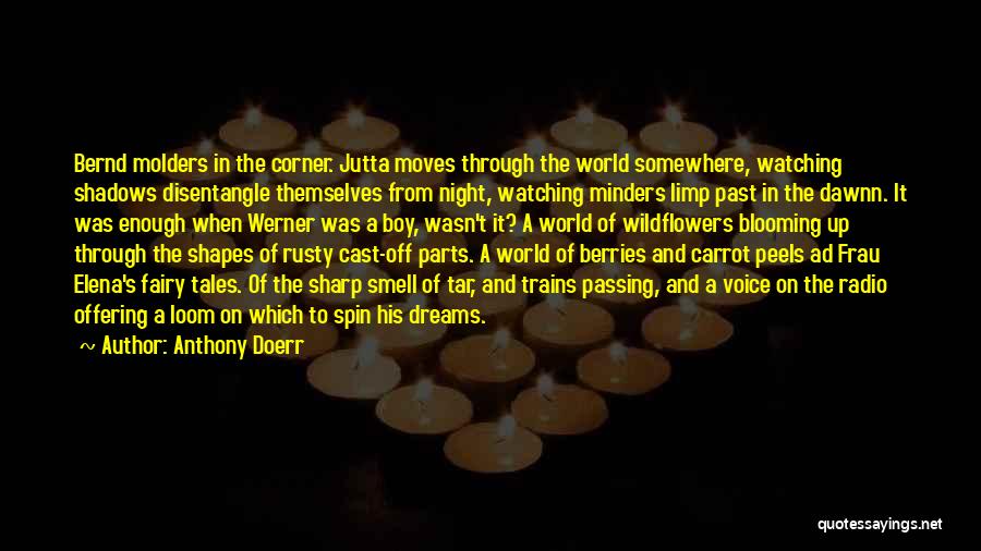 Night Dreams Quotes By Anthony Doerr