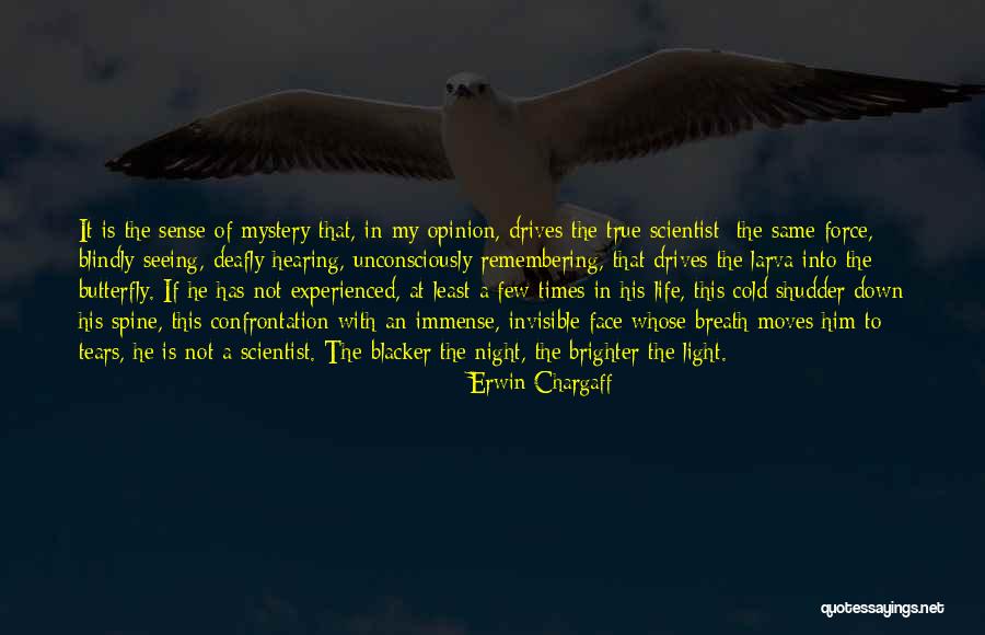 Night Drives Quotes By Erwin Chargaff Night Drives Quotes By Erwin Chargaff
