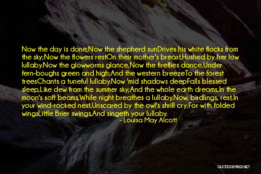 Night Drives Quotes By Louisa May Alcott Night Drives Quotes By Louisa May Alcott