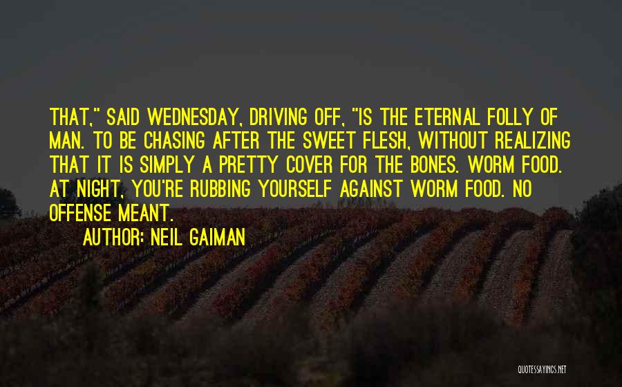 Night Driving Quotes By Neil Gaiman