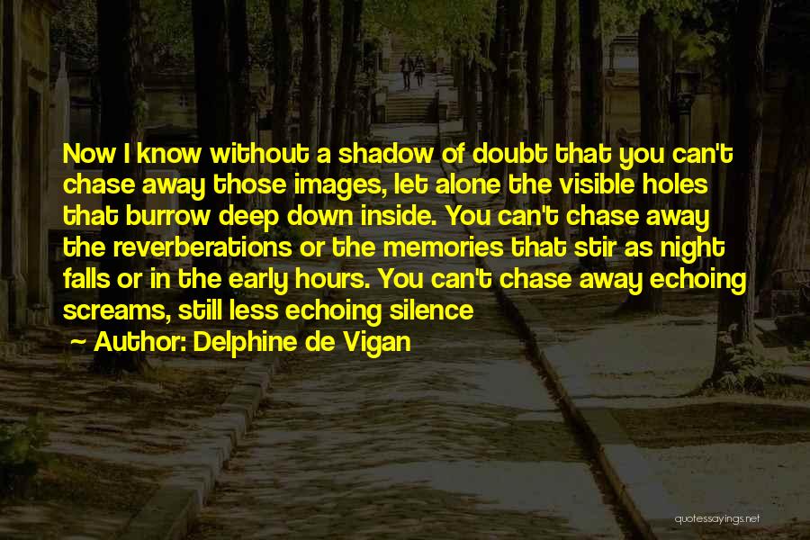 Night Falls Quotes By Delphine De Vigan