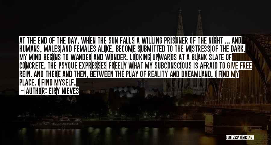 Night Falls Quotes By Eiry Nieves