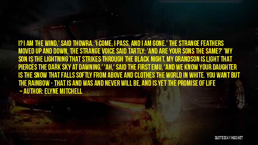 Night Falls Quotes By Elyne Mitchell