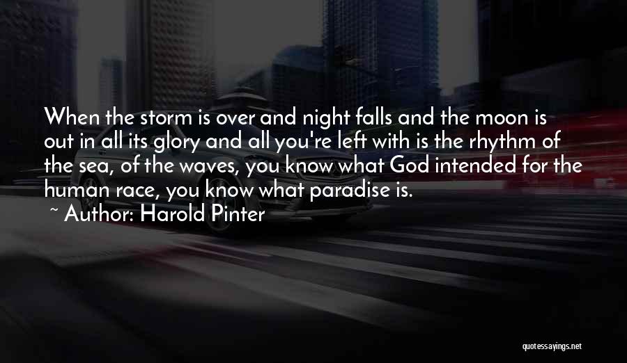 Night Falls Quotes By Harold Pinter