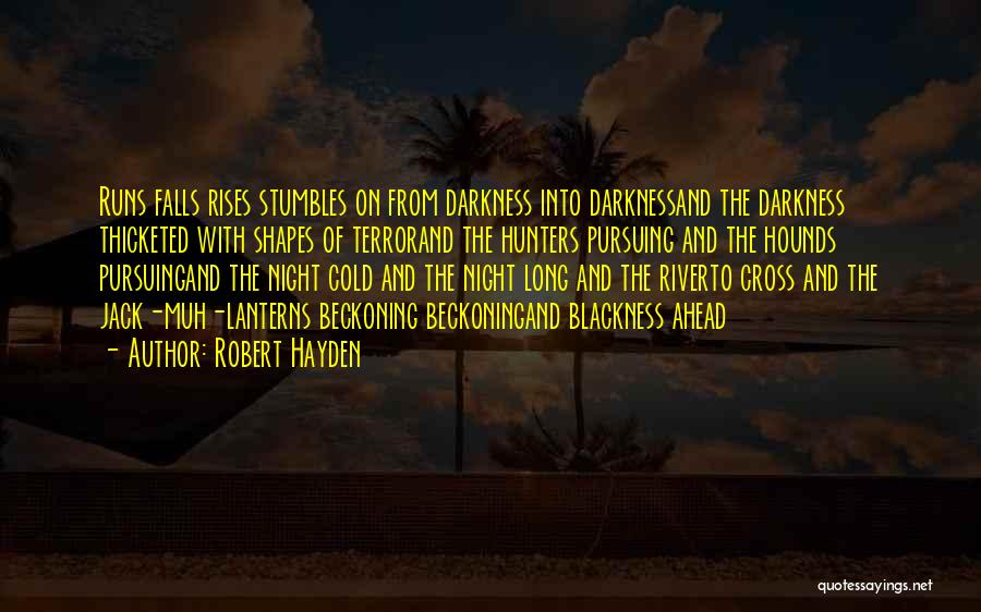 Night Falls Quotes By Robert Hayden