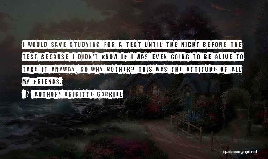 Night Friends Quotes By Brigitte Gabriel