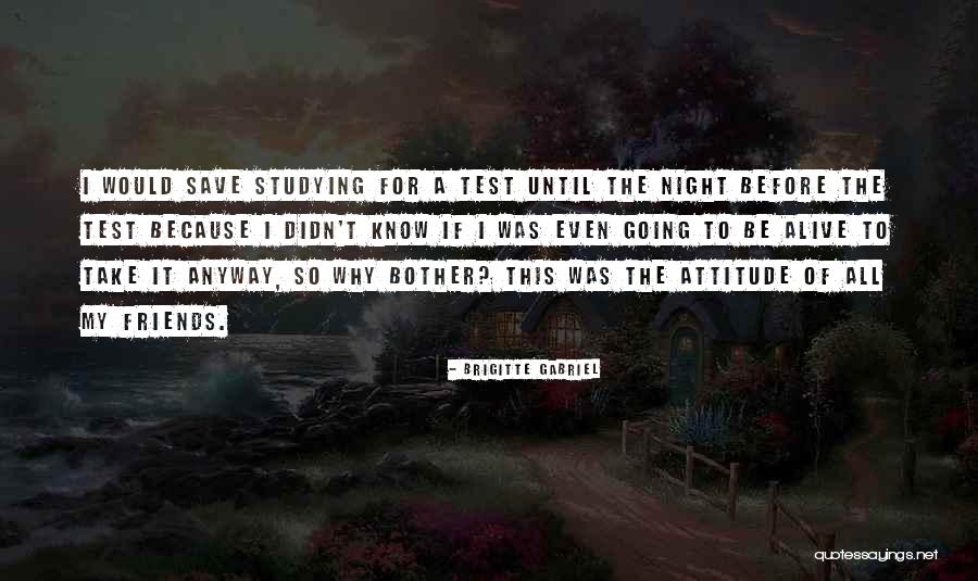 Night Friends Quotes By Brigitte Gabriel Night Friends Quotes By Brigitte Gabriel