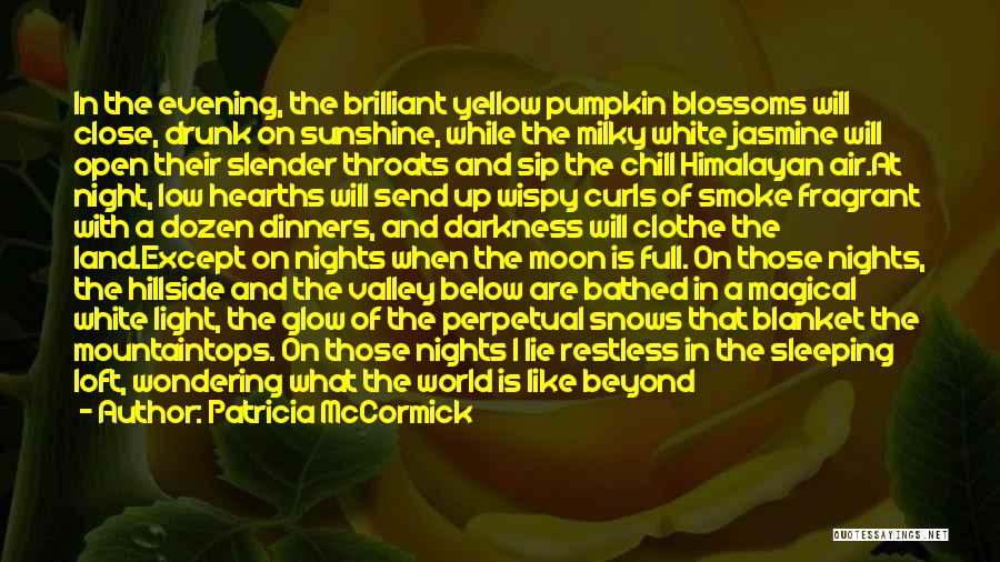 Night Glow Quotes By Patricia McCormick