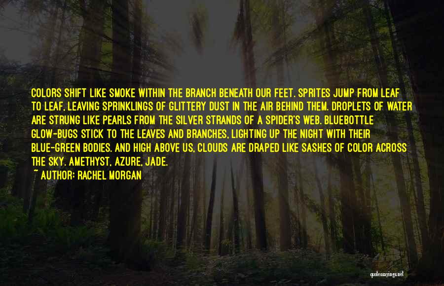 Night Glow Quotes By Rachel Morgan