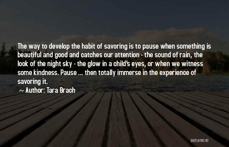 Night Glow Quotes By Tara Brach