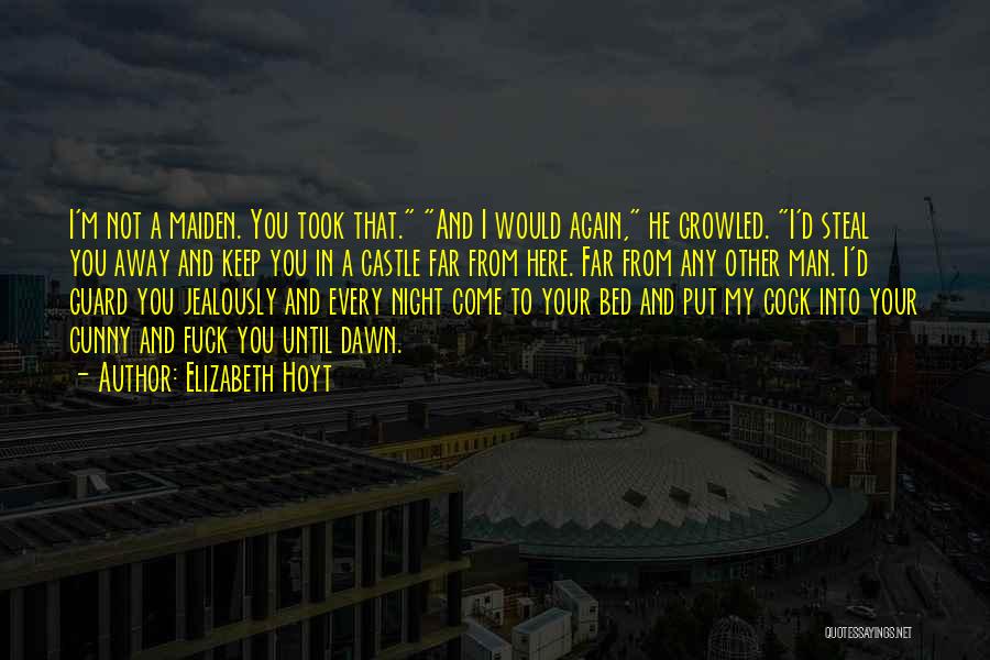 Night Guard Quotes By Elizabeth Hoyt
