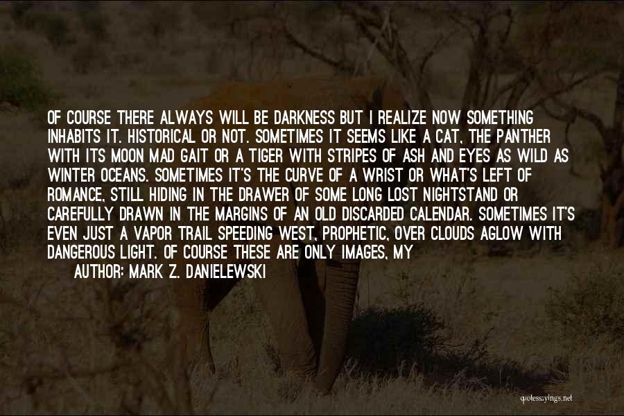 Night Images And Quotes By Mark Z. Danielewski