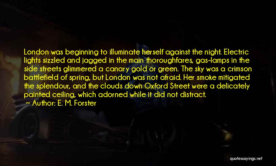 Night Lamps Quotes By E. M. Forster