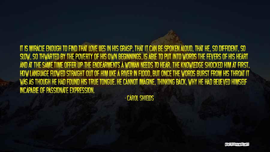 Night Letters Robert Dessaix Quotes By Carol Shields Night Letters Robert Dessaix Quotes By Carol Shields
