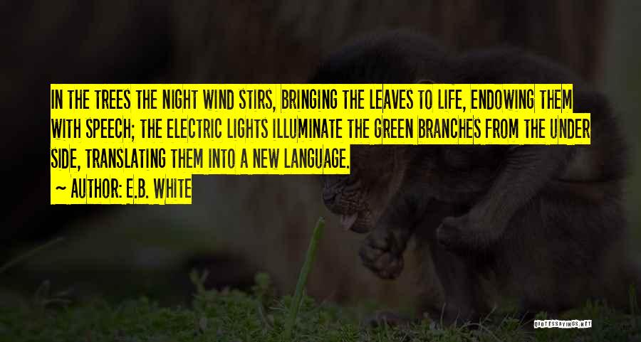 Night Lights Quotes By E.B. White