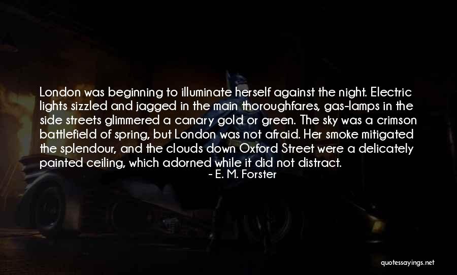 Night Lights Quotes By E. M. Forster