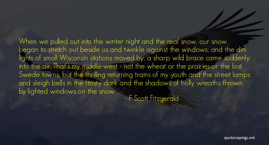 Night Lights Quotes By F Scott Fitzgerald