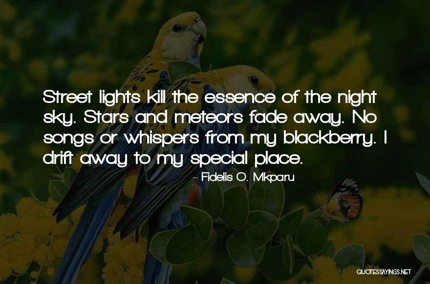 Night Lights Quotes By Fidelis O. Mkparu