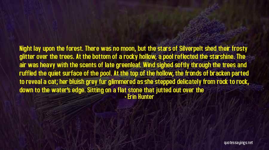 Night Of The Hunter Quotes By Erin Hunter Night Of The Hunter Quotes By Erin Hunter