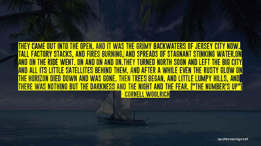 Night Out Ride Quotes By Cornell Woolrich Night Out Ride Quotes By Cornell Woolrich