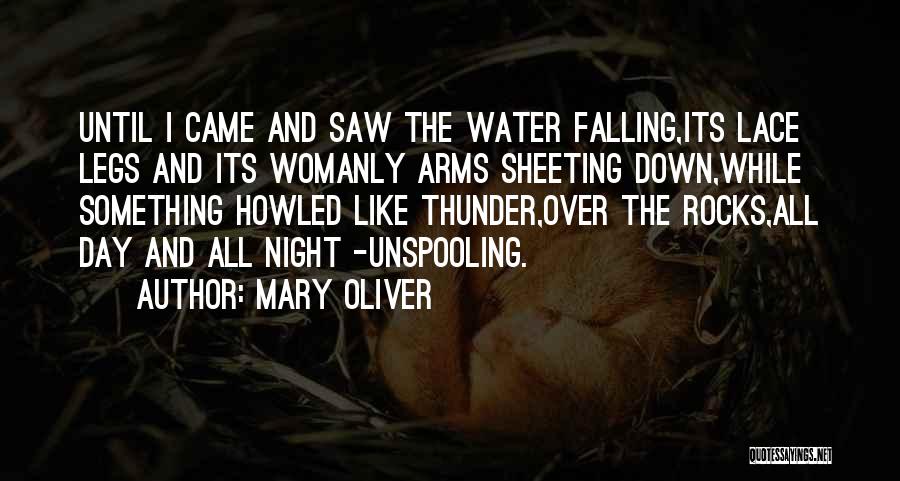 Night Over Water Quotes By Mary Oliver