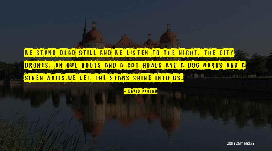 Night Owl Quotes By David Almond