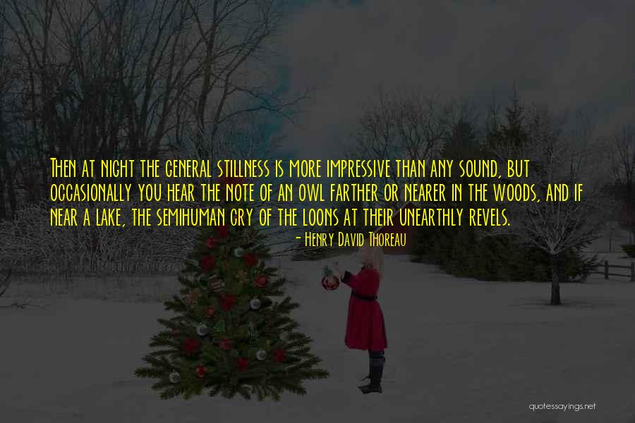 Night Owl Quotes By Henry David Thoreau