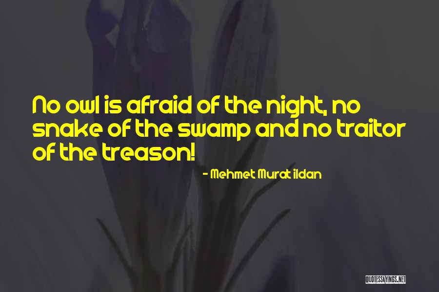 Night Owl Quotes By Mehmet Murat Ildan