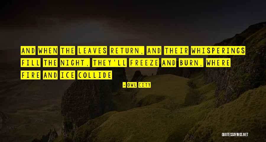 Night Owl Quotes By Owl City