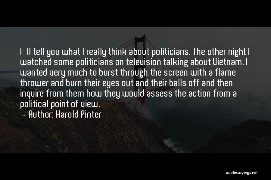 Night Point Of View Quotes By Harold Pinter