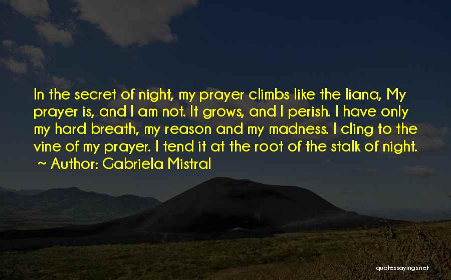 Night Prayer Quotes By Gabriela Mistral Night Prayer Quotes By Gabriela Mistral