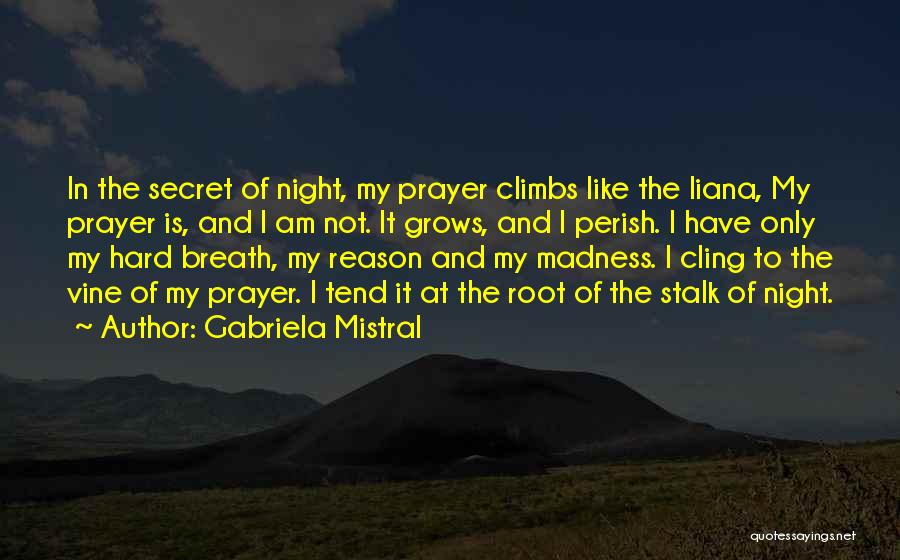 Night Prayer Quotes By Gabriela Mistral