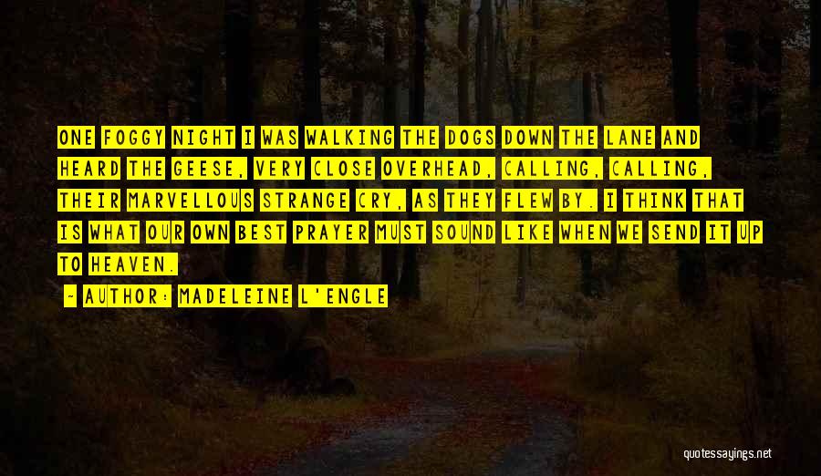 Night Prayer Quotes By Madeleine L'Engle Night Prayer Quotes By Madeleine L'Engle