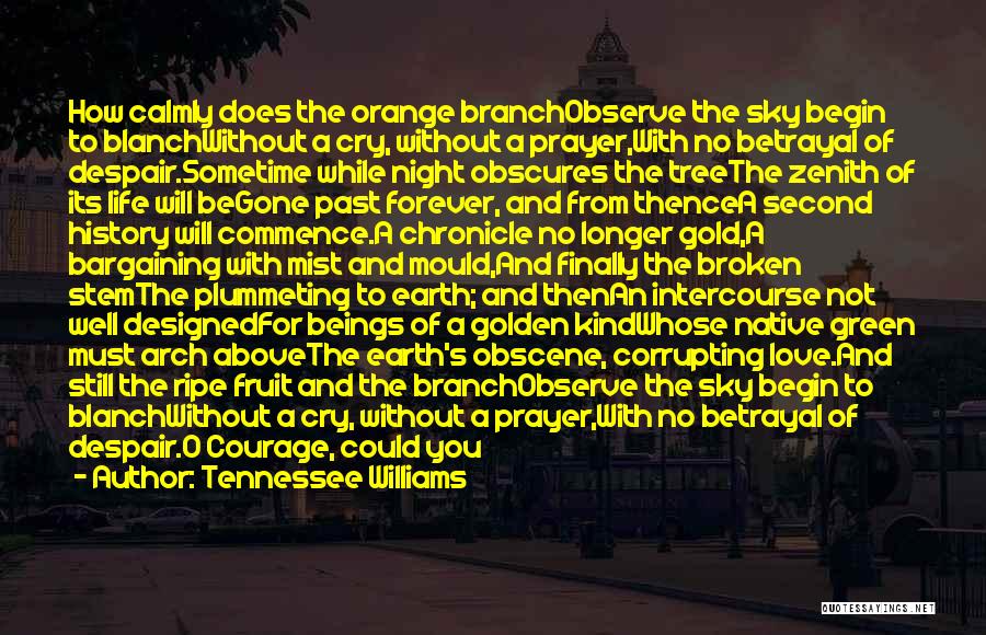 Night Prayer Quotes By Tennessee Williams