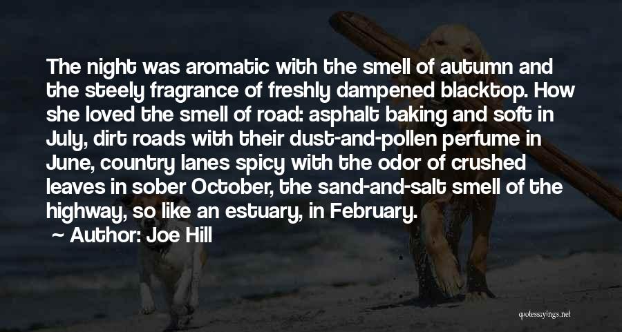 Night Road Quotes By Joe Hill