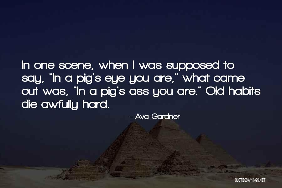 Night Scene Quotes By Ava Gardner Night Scene Quotes By Ava Gardner