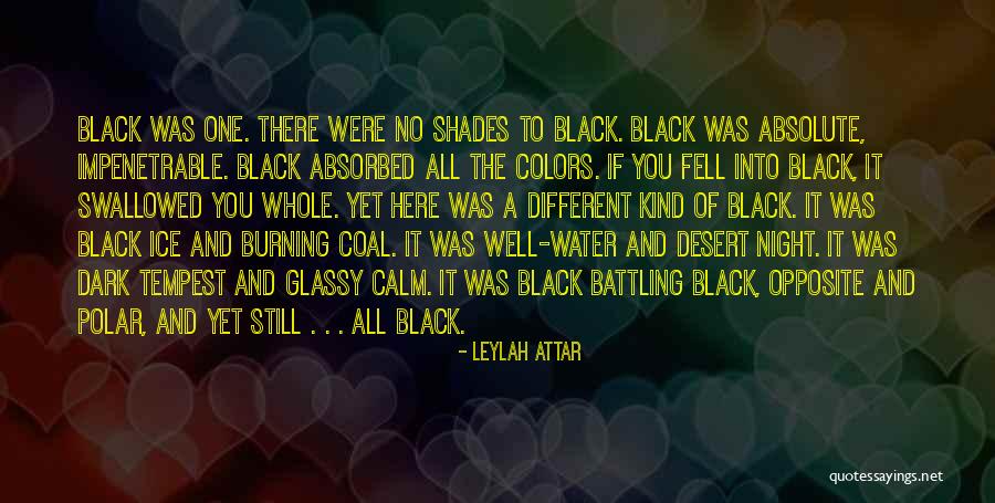 Night Shades Quotes By Leylah Attar Night Shades Quotes By Leylah Attar